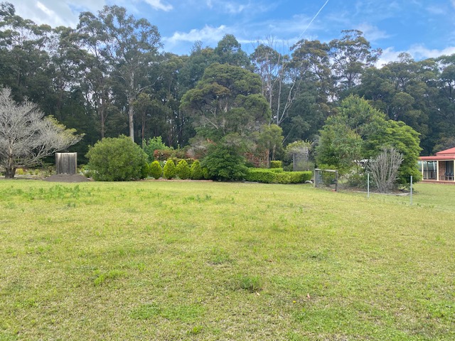 Secluded Acreage on Offer! : image 